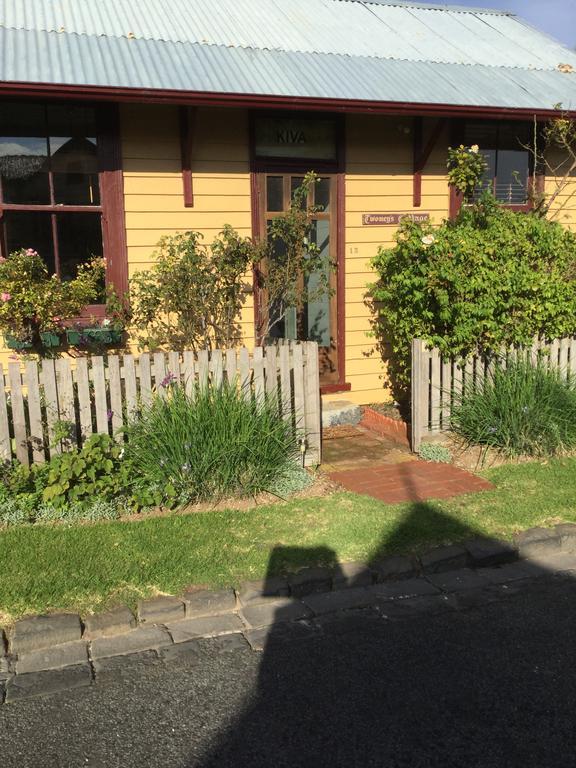 Twomey'S Cottage Queenscliff Exterior foto